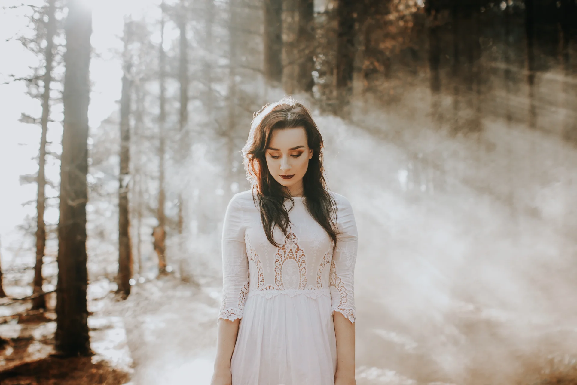 Daily Update - February 1st