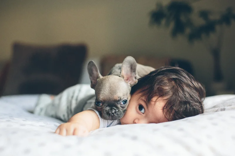 Daily Update - February 2nd