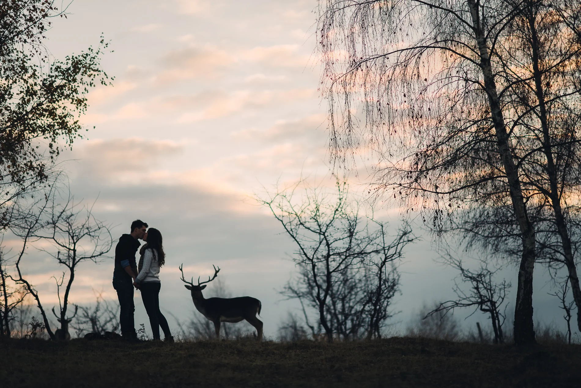 Then & Now - Land of White Deer