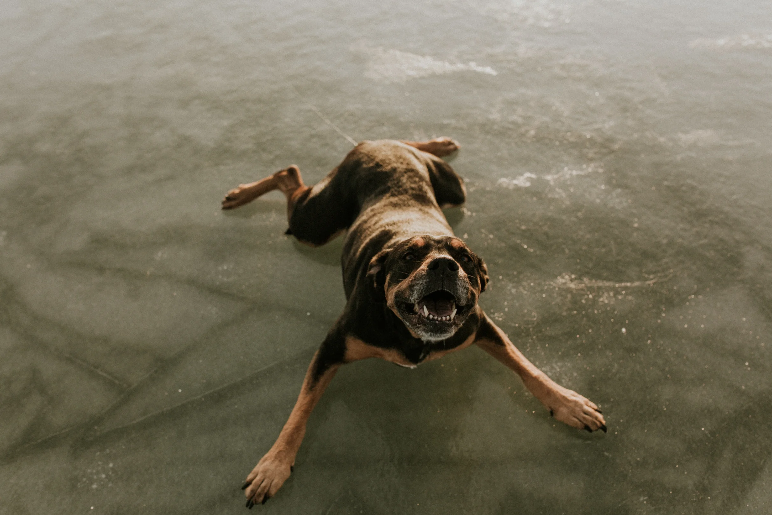 Daily Update - March 1st