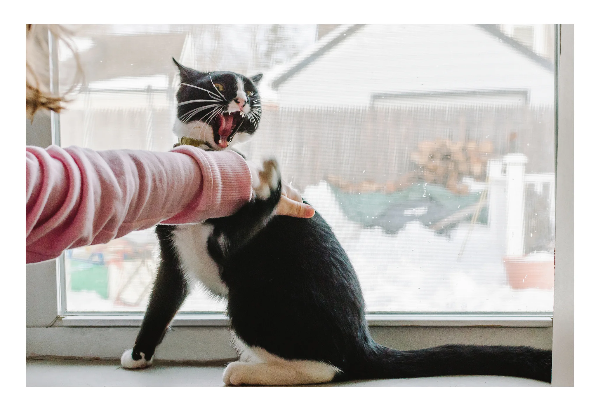 Alana Tisch - Fuji 160+