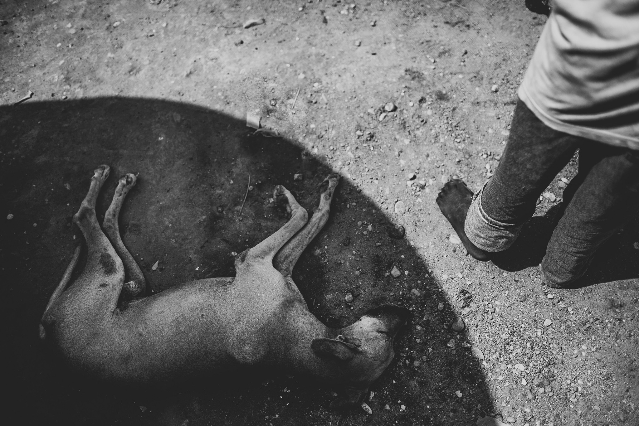 Haiti_0020.jpg