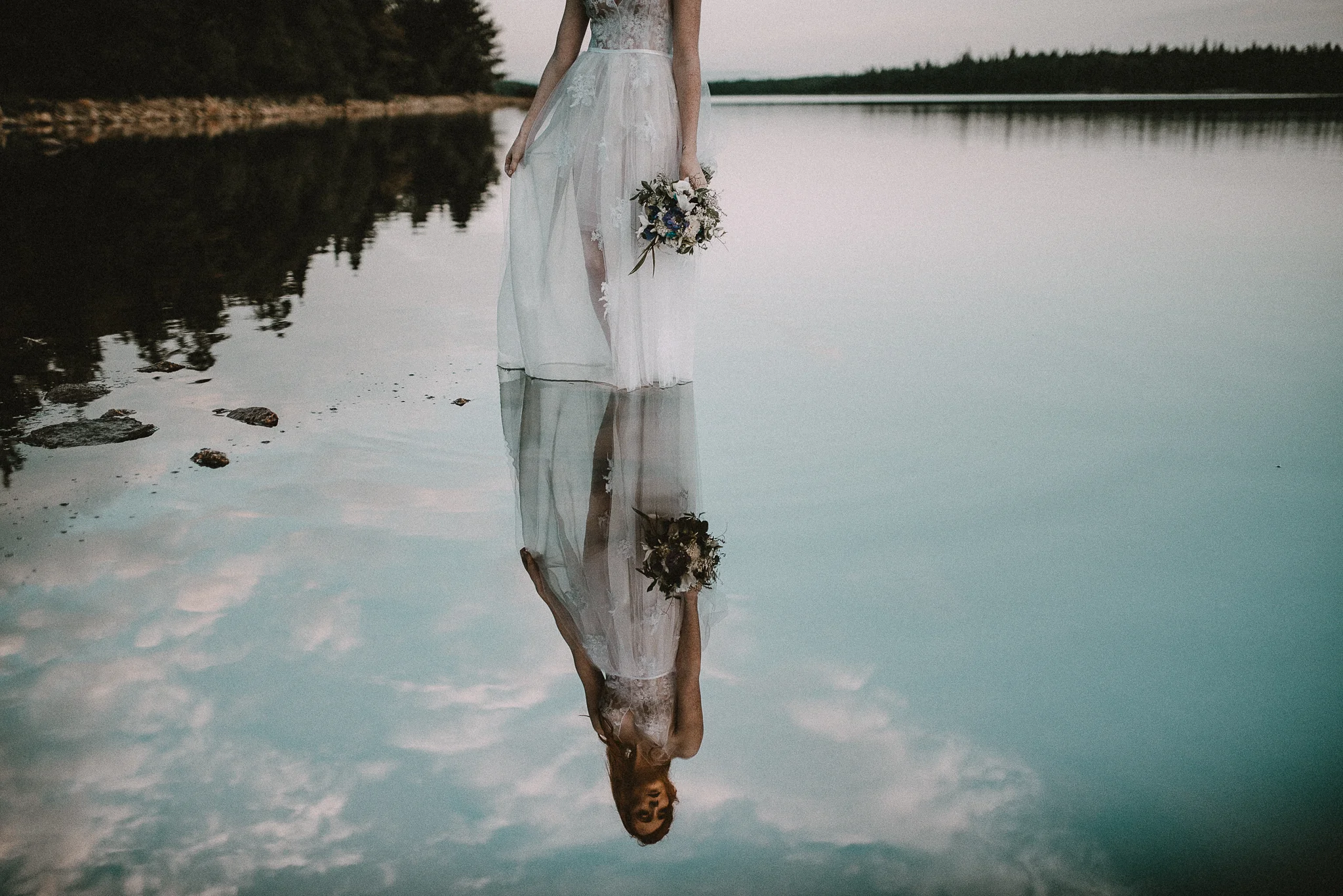 Daily Update - September 29th