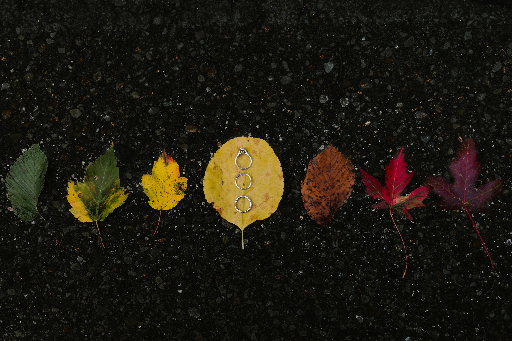 Autumn Thornsberry - LXCN 04