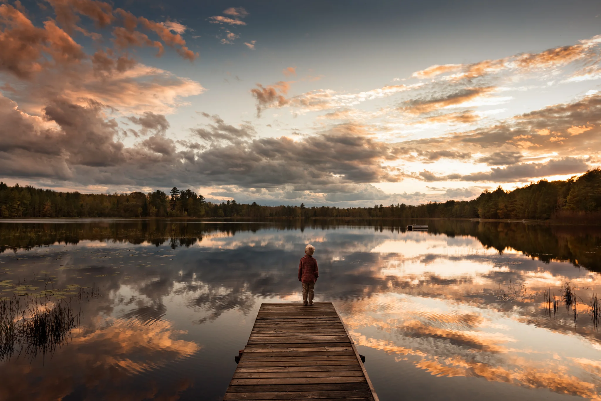 Daily Update - April 9th