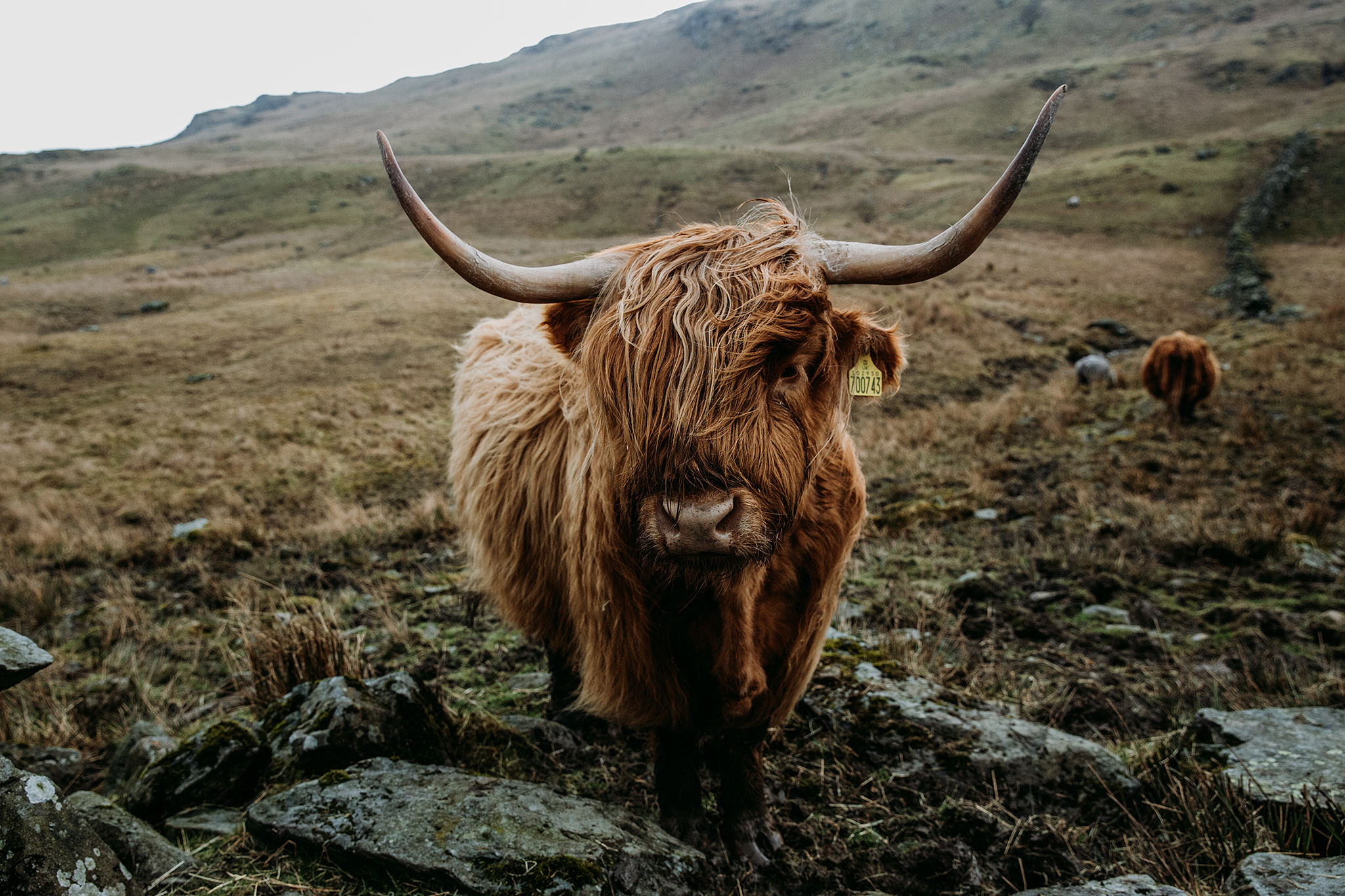 Esther Wild