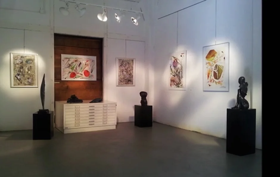Galerie Nelly L'Eplattenier, 2012 Lausanne