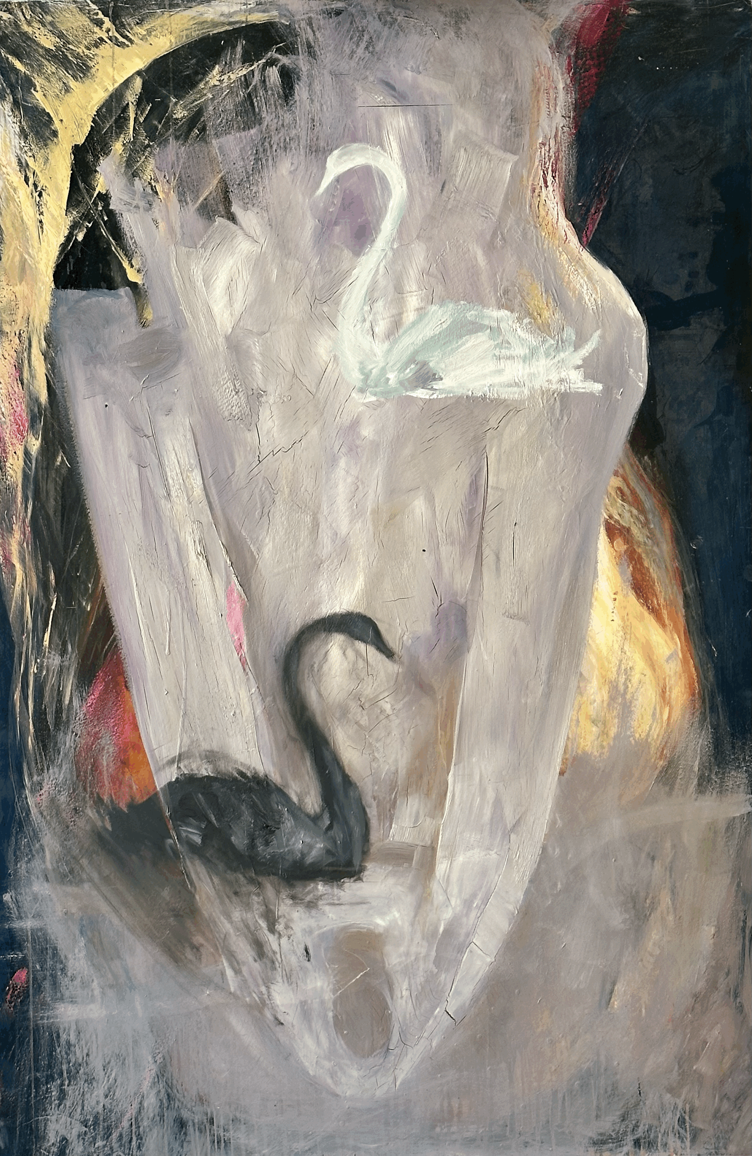 Swans