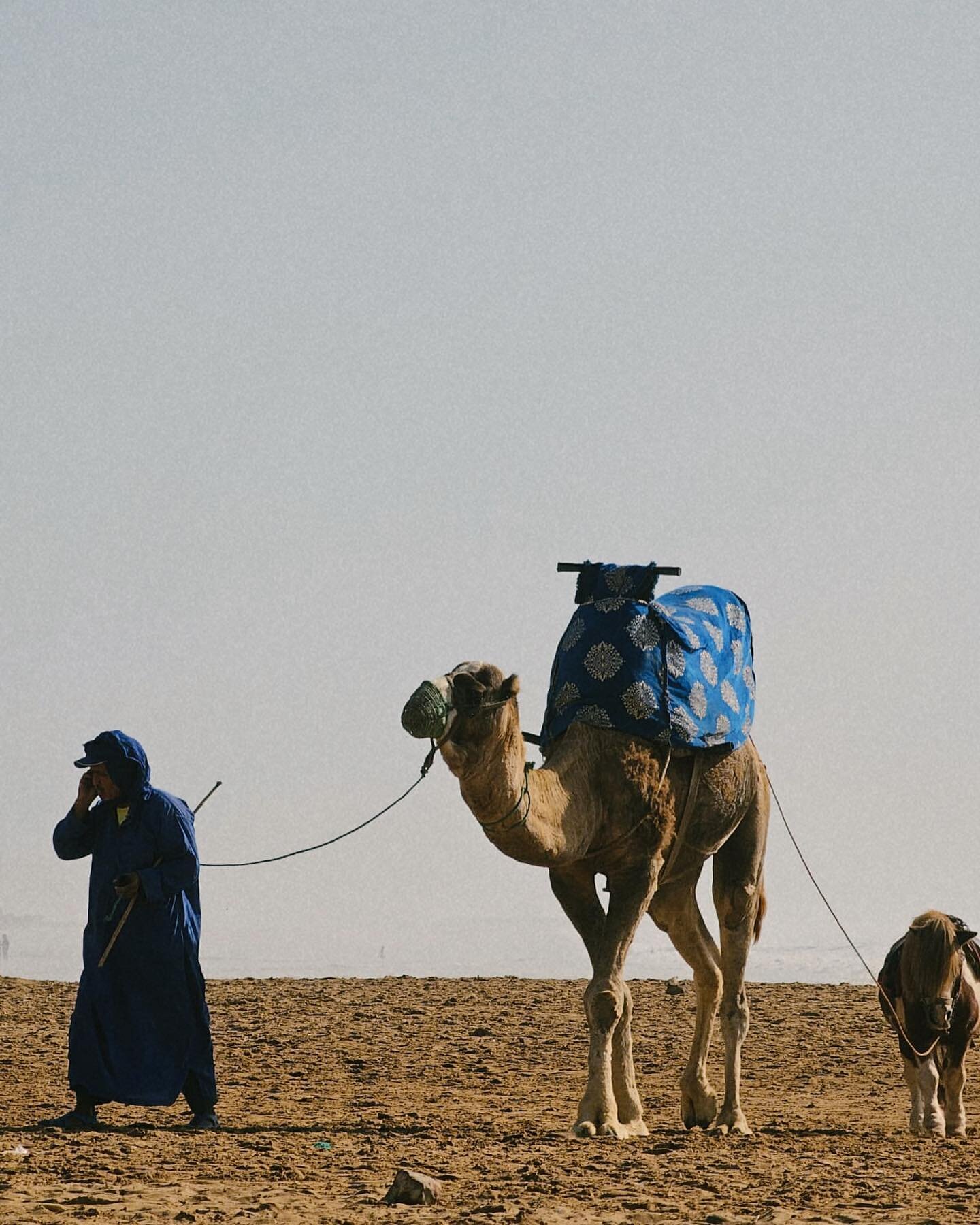 ACTIVIDADES PARA VIVIR LA VERDADERA CULTURA MARROQUÍ 🐫

¿No sabes qué hacer en tu tiempo libre en Taghazout?
Apúntate: 
🐫 paseo en camello 
🏍️ excursión en quad 
💆🏼‍♀️ hammam/masaje tradicional 

Pase sus vacaciones emocionantes y activas ⚡️ más información