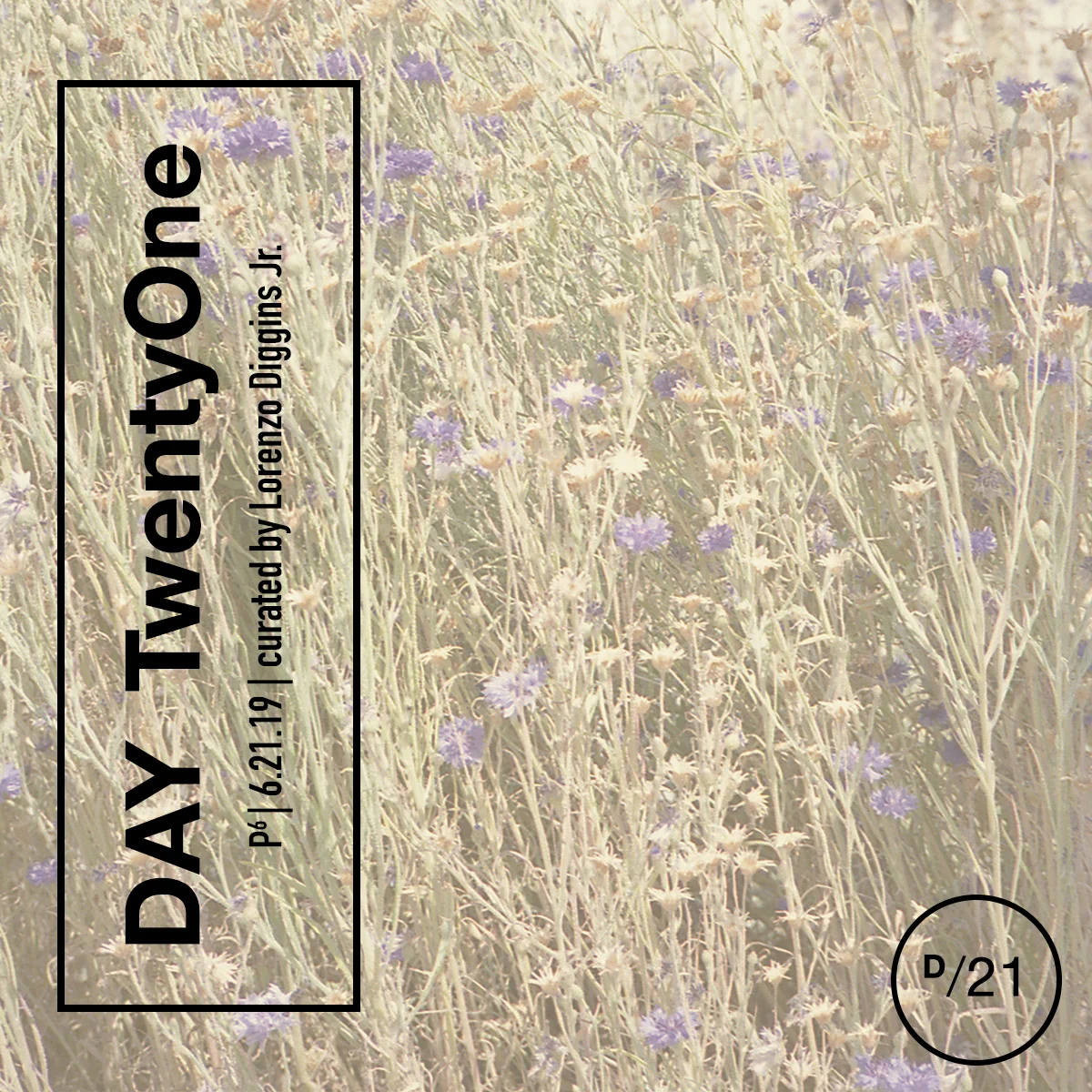 Day21byLCD_6.jpg