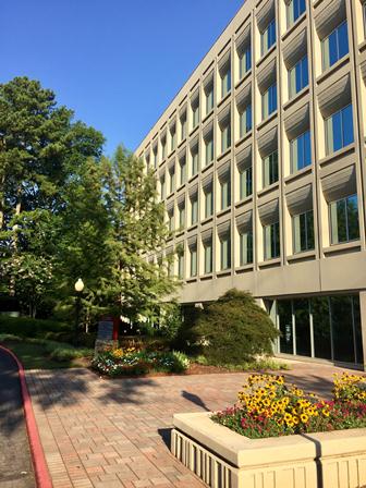 Vinings Office