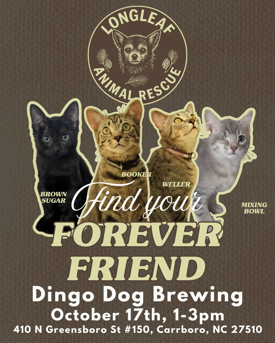Find Your Forever Friend Adoption Event