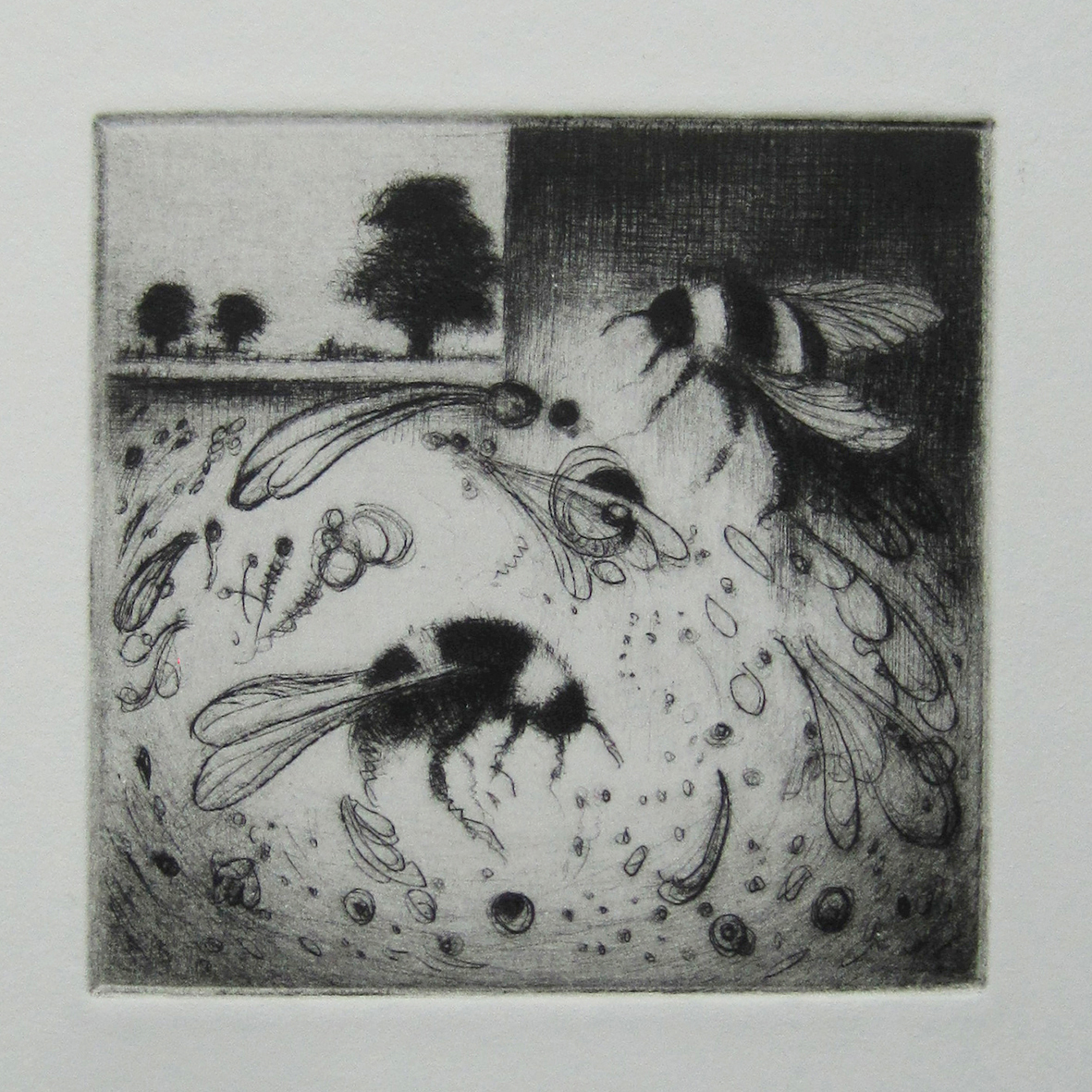 bees-in-a-whirl---drypoint-10-x-10-cm-27.9-x-31.8.jpg