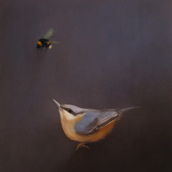 Nuthatch with bee v