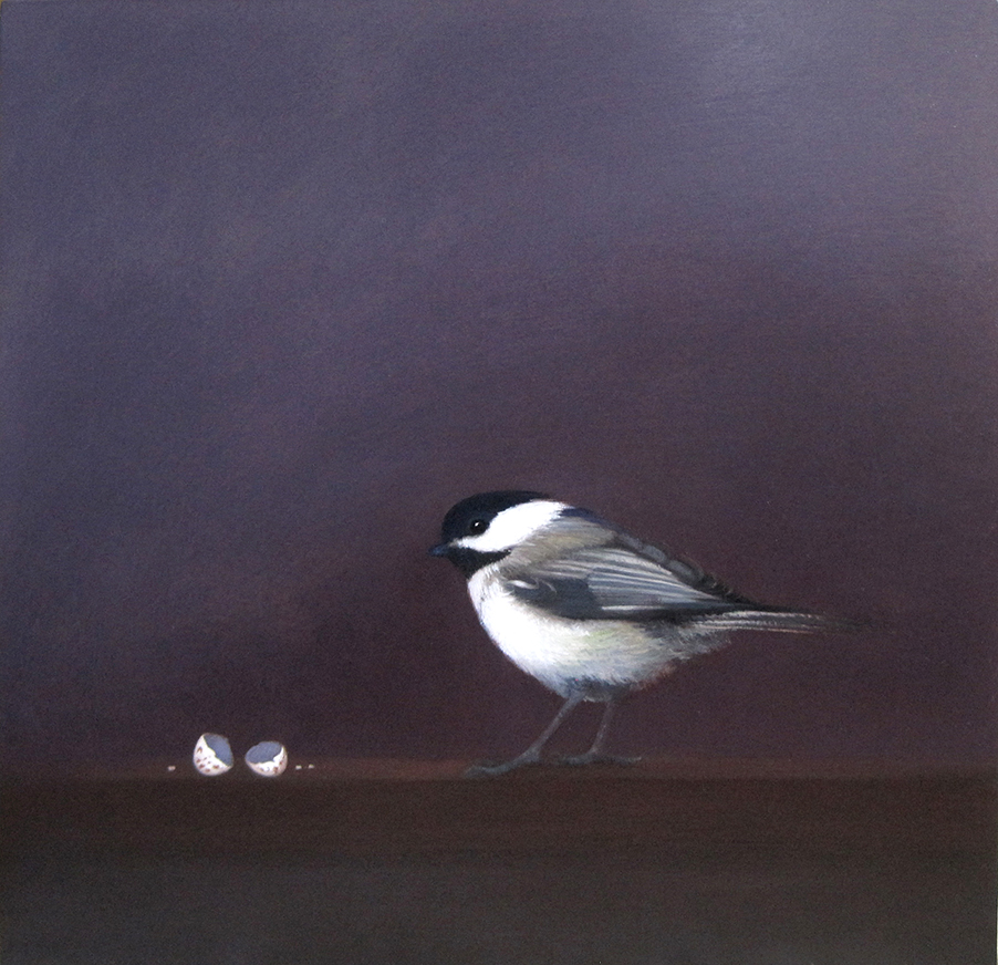 Black Capped Chickadee with broken egg