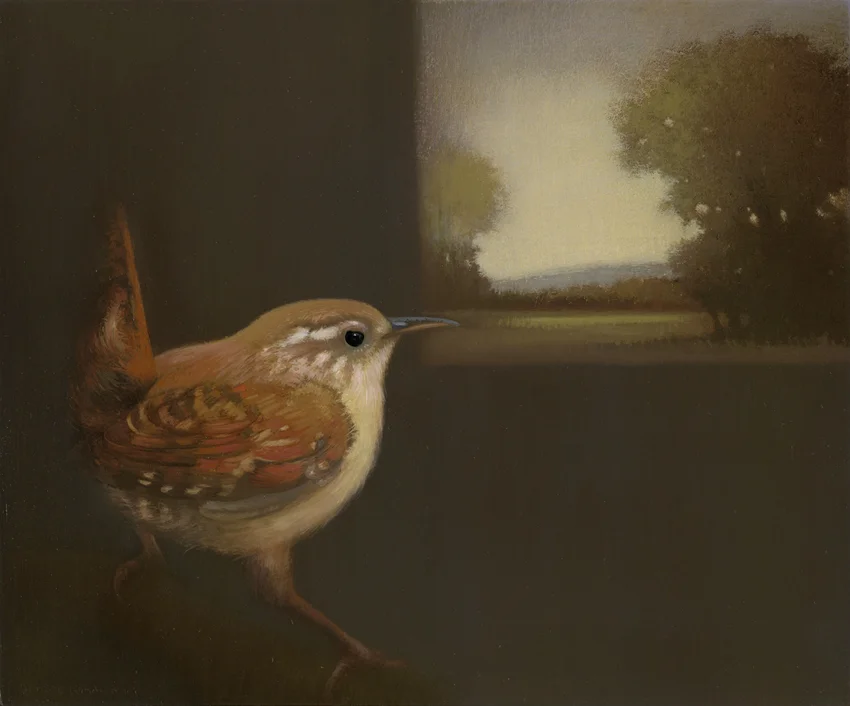 Wren looking east