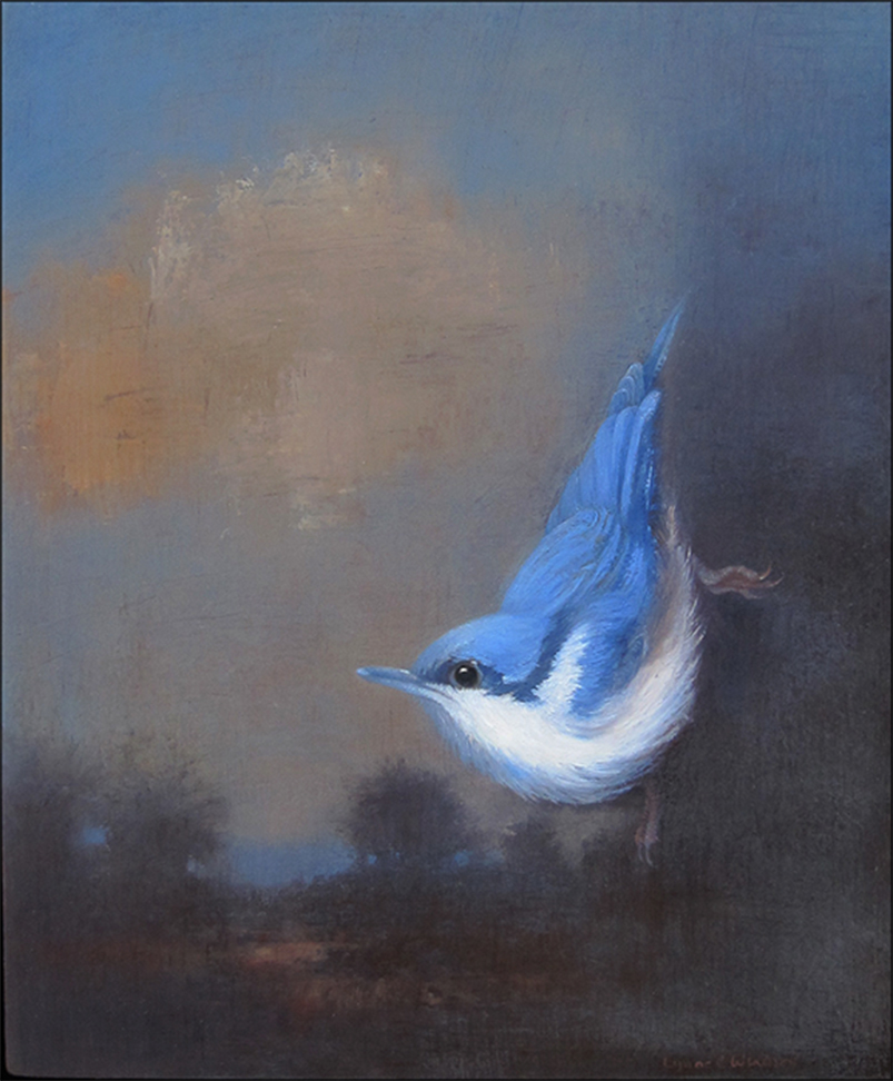 Nuthatch and clouds