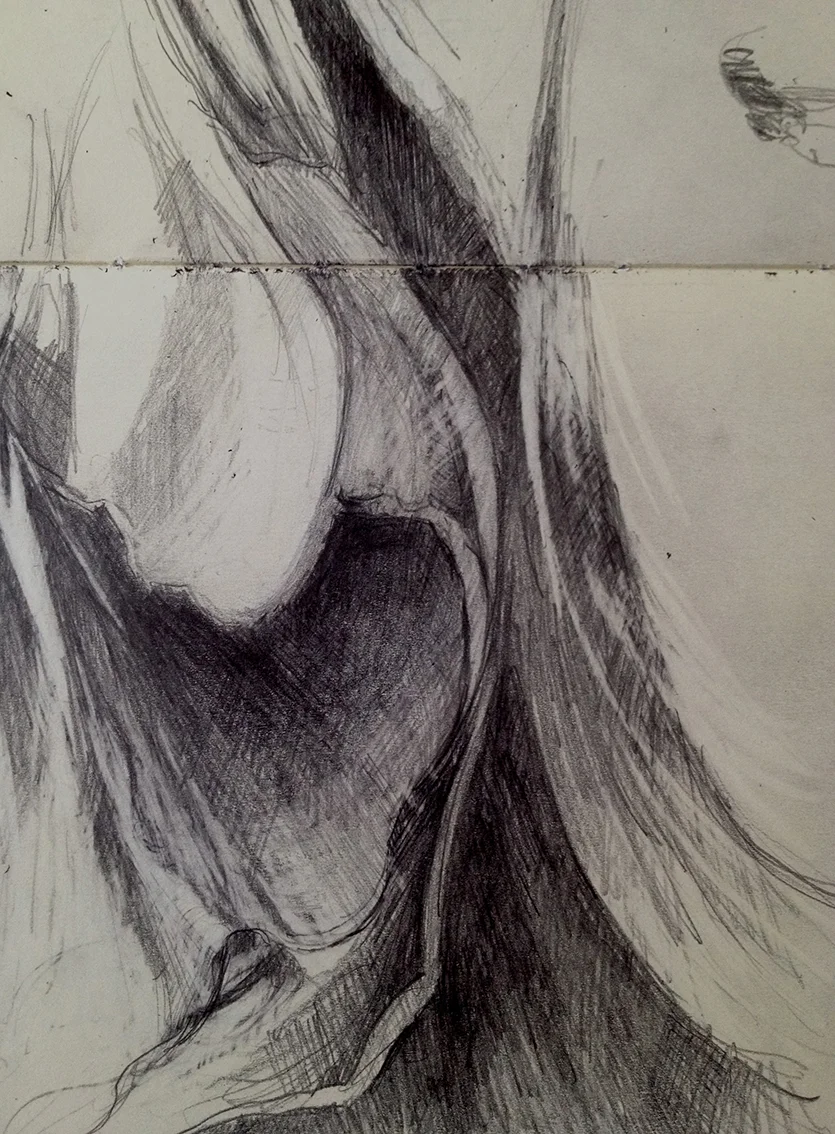Drawings 3.jpg
