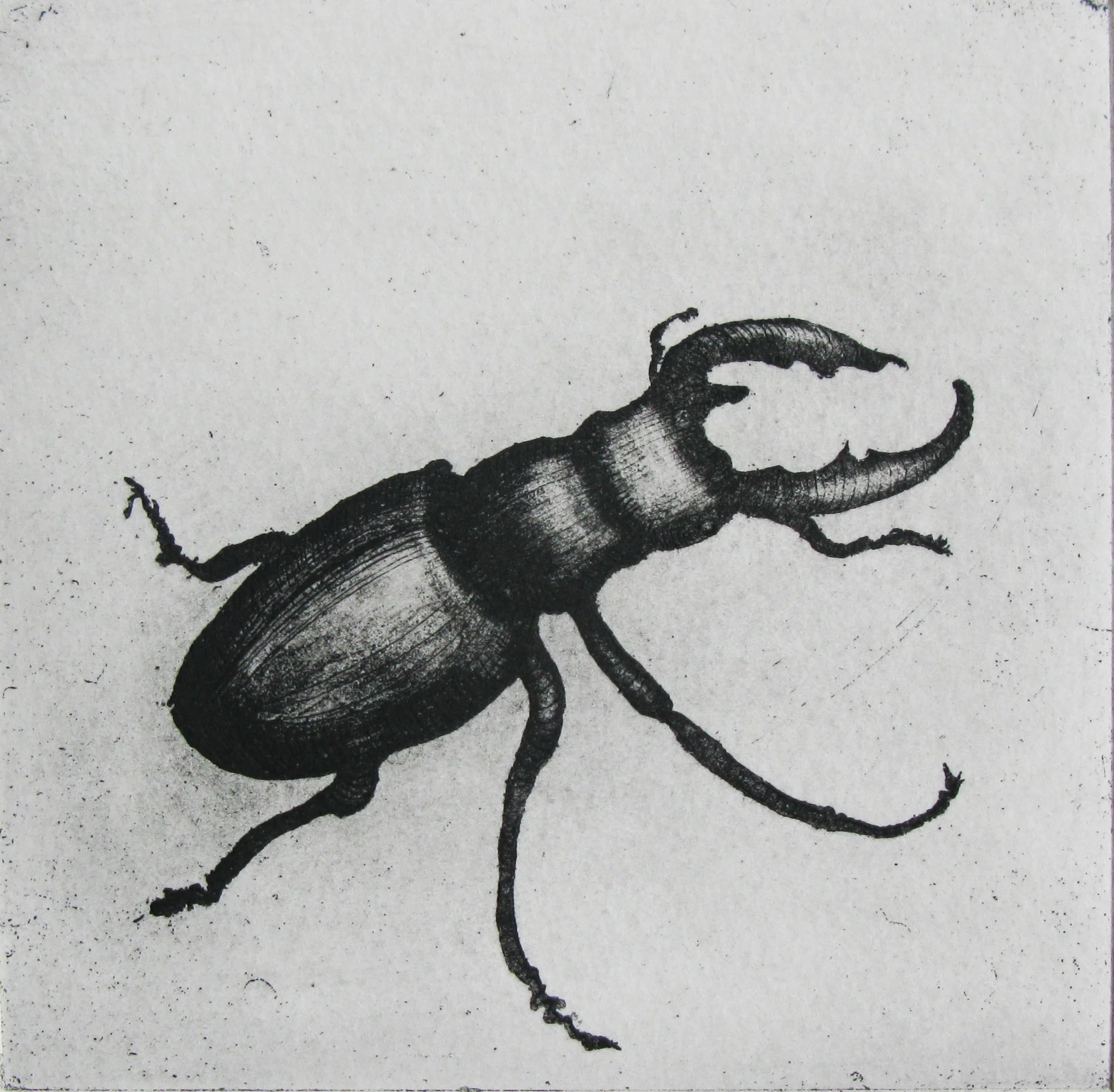 Open Eye Gallery, Edinburgh