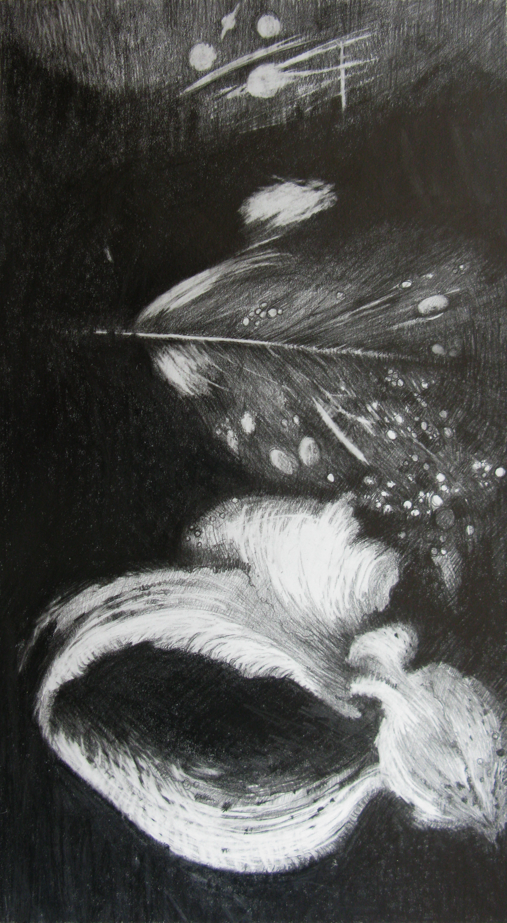 Pond Petals iii - Graphite - 15 x 25