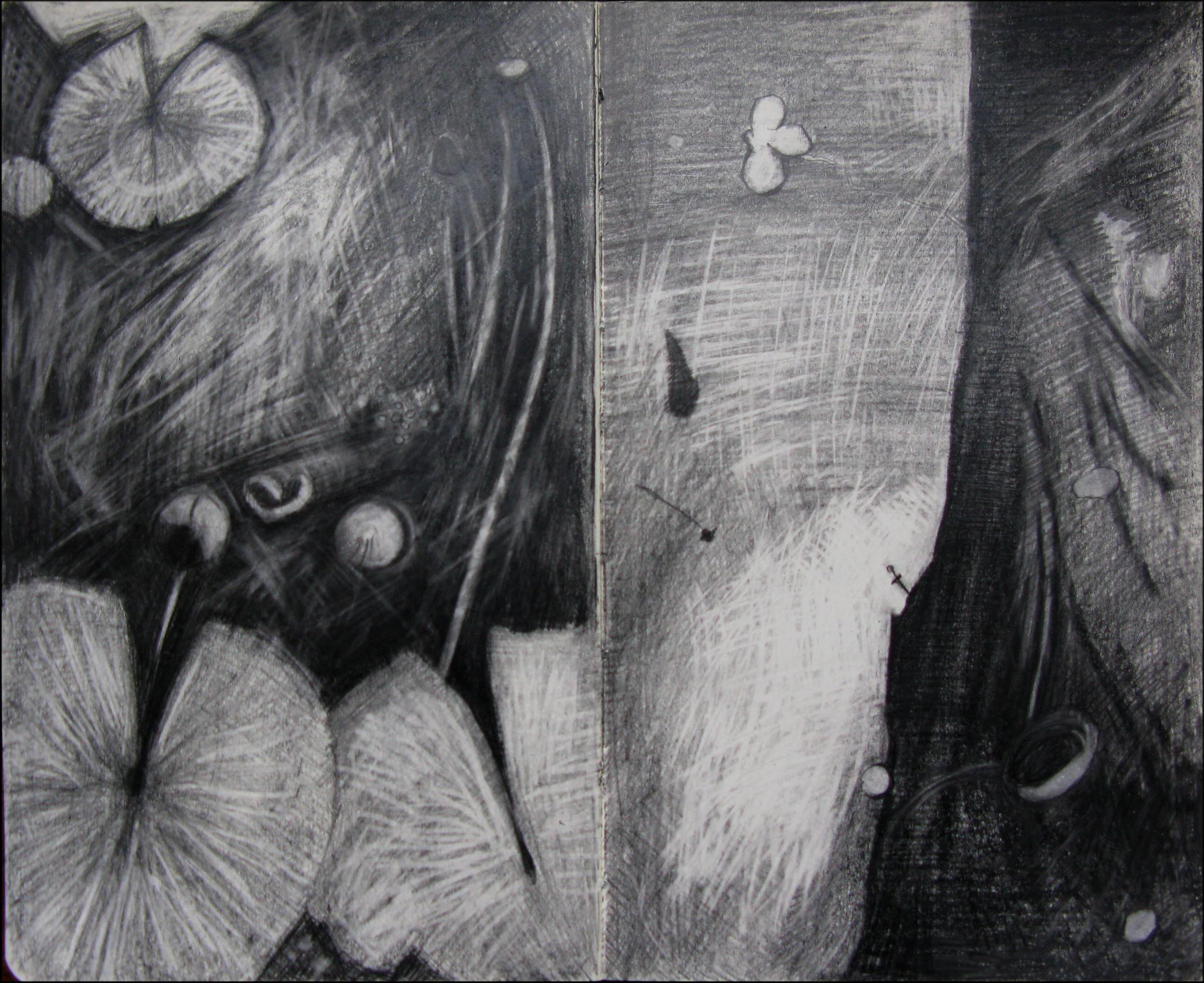 Pond Life - Graphite - Sketch book