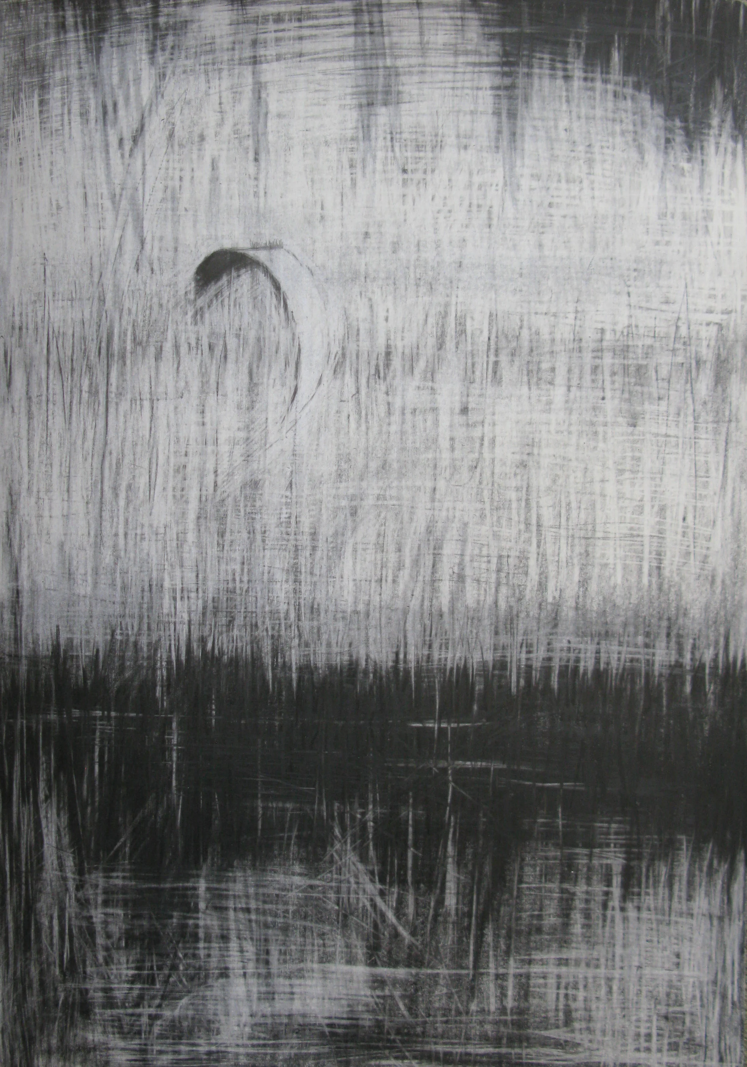 Reeds i