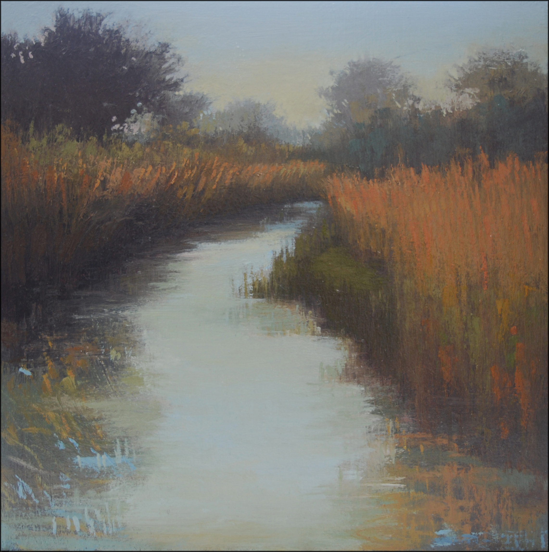 Wicken Fen Water ii