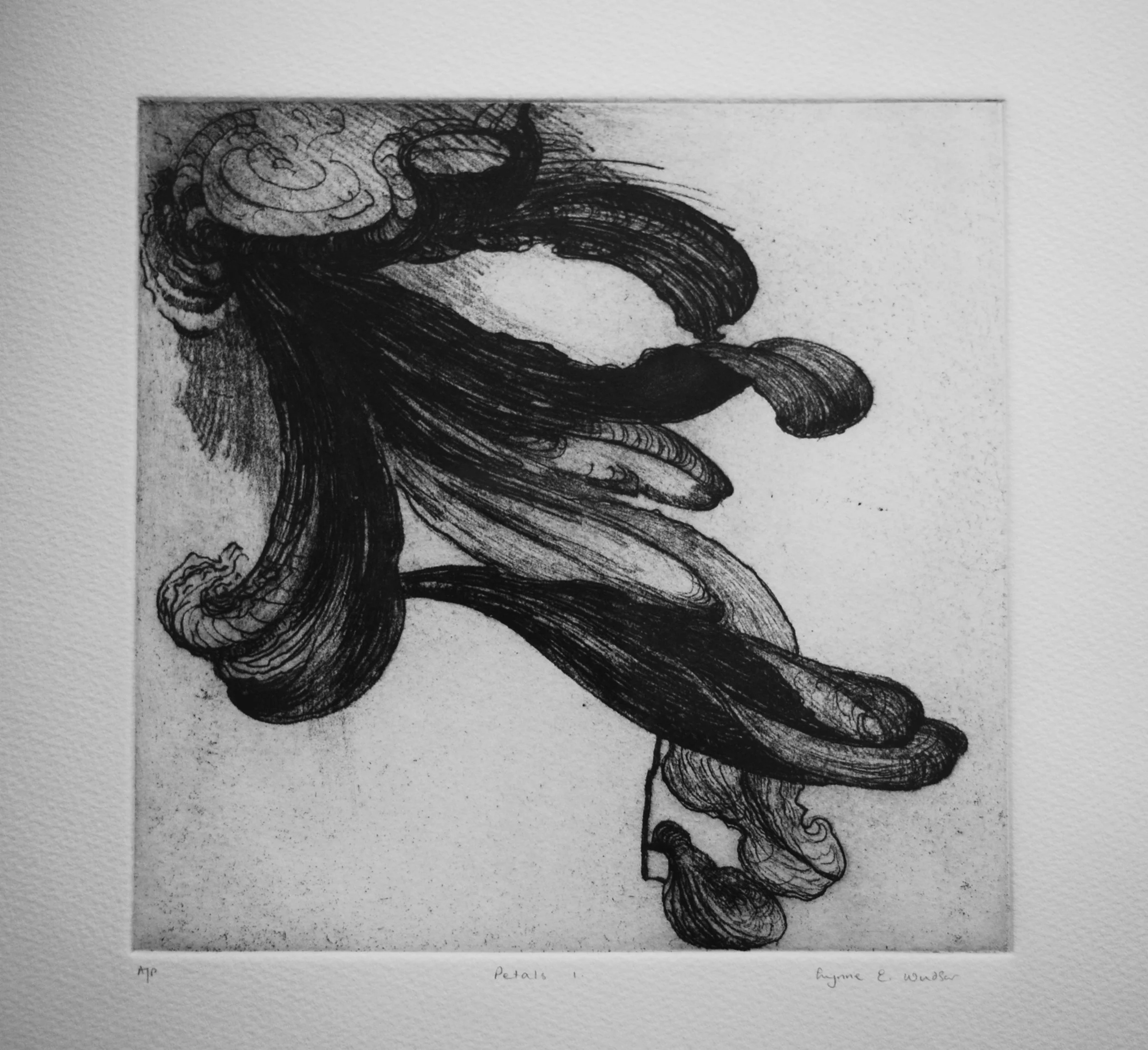Petals 20.50 x 20.50 cm etching.jpg