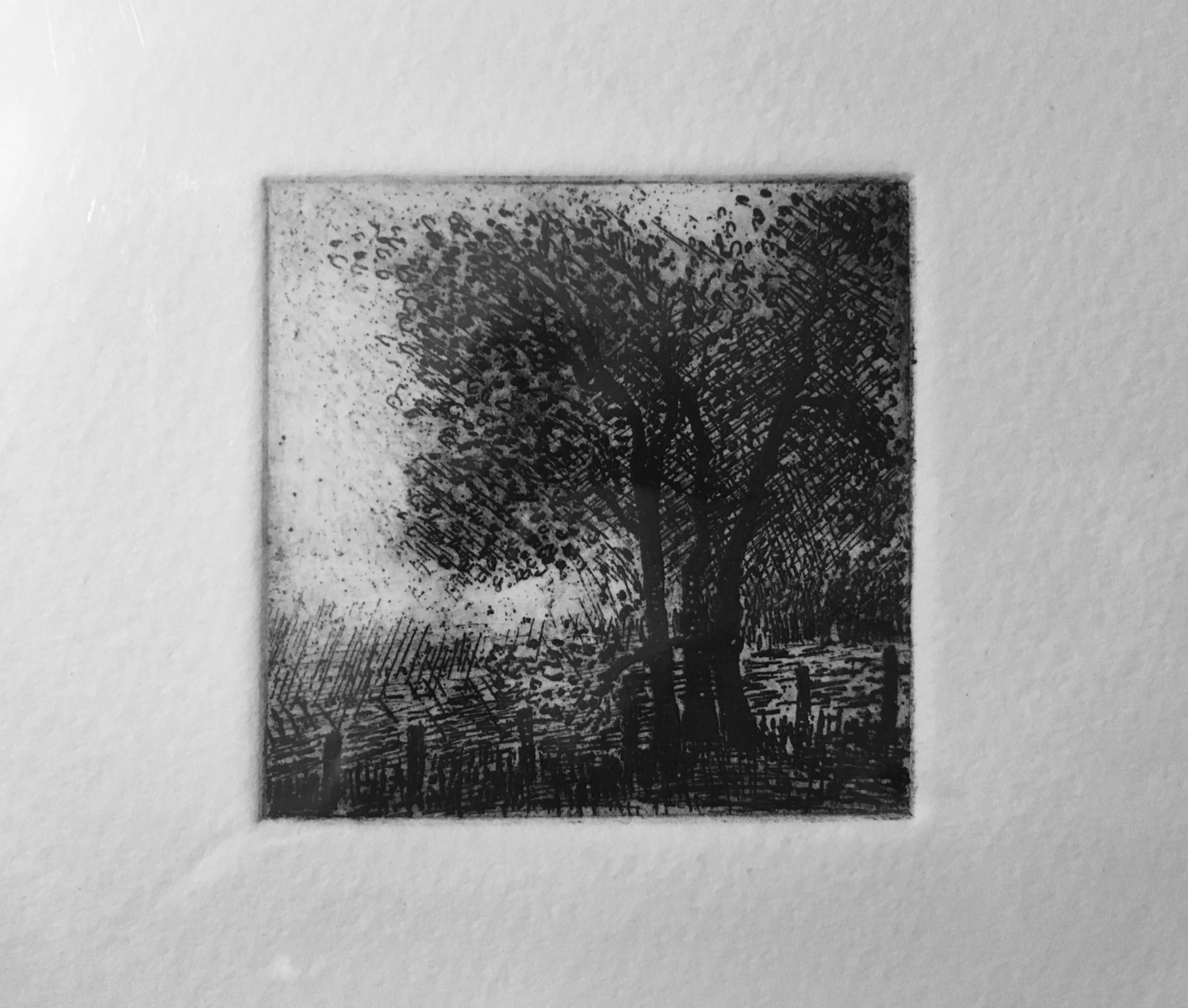 Tree with fence 6 x 6 cm.jpg