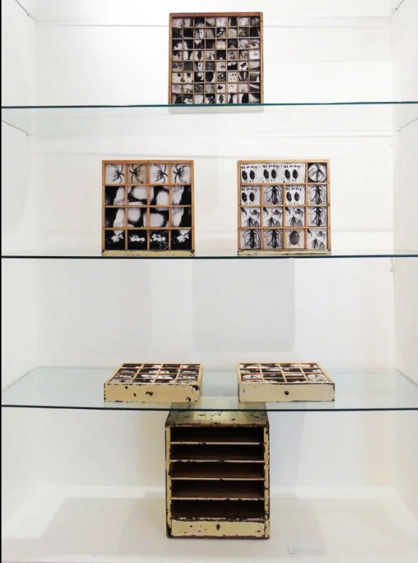 Watchmakers cabinet.jpg