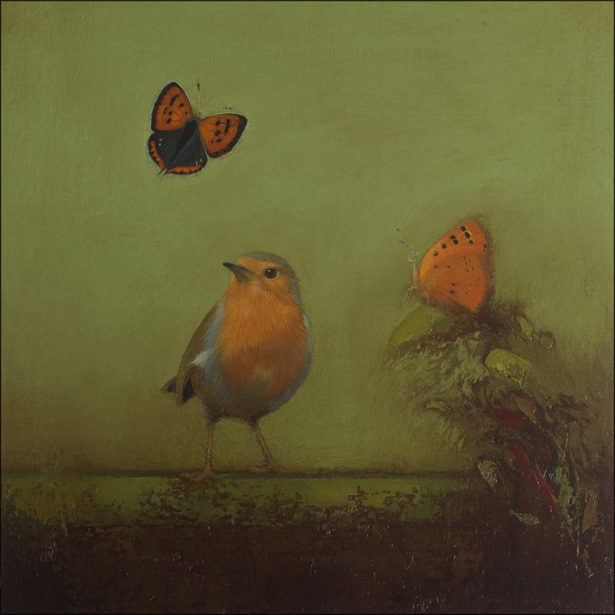 Robin and two small copper butterflies 30 x 30 cm.jpg