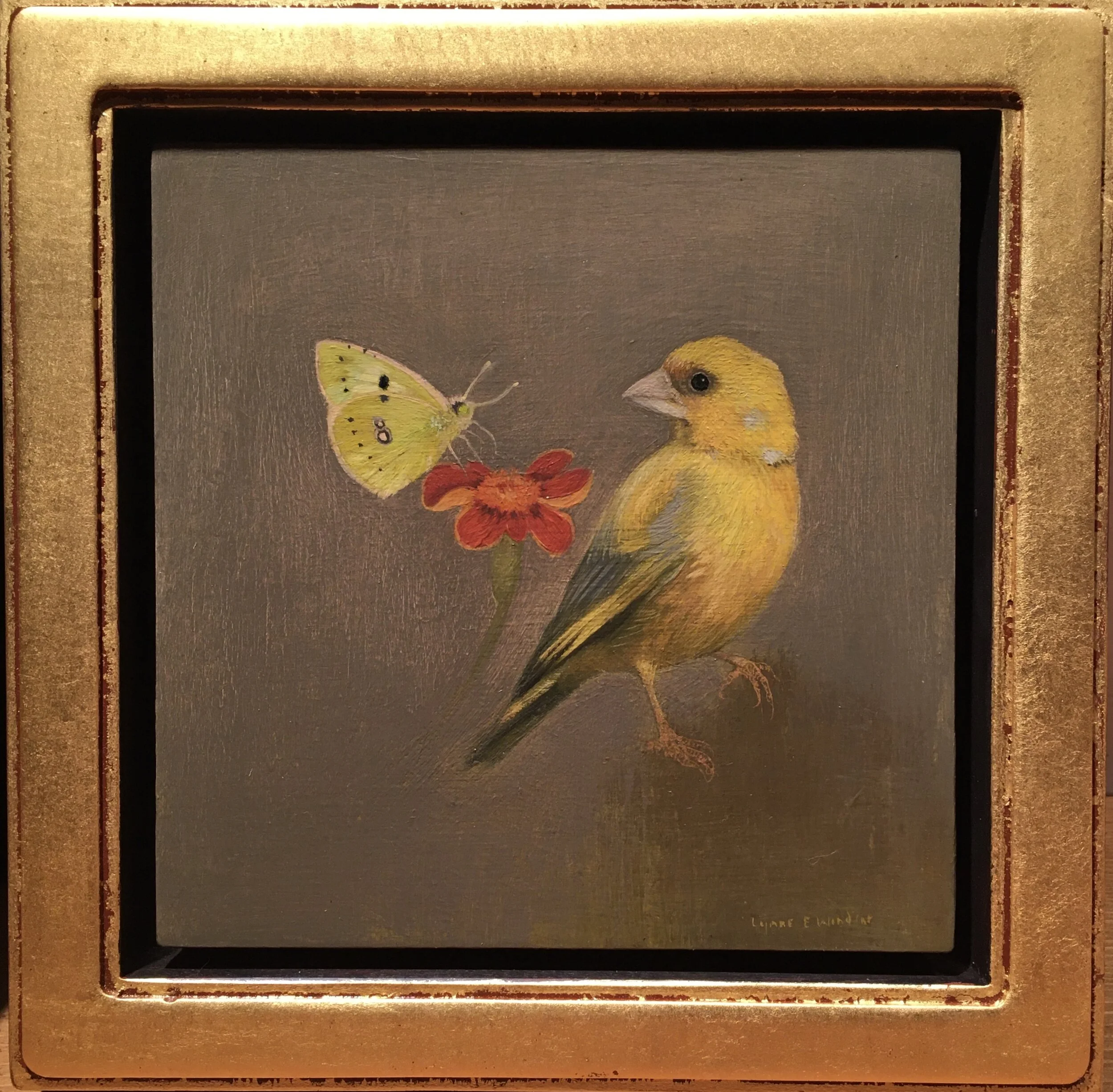 Greenfinch with Clouded yellow - framed