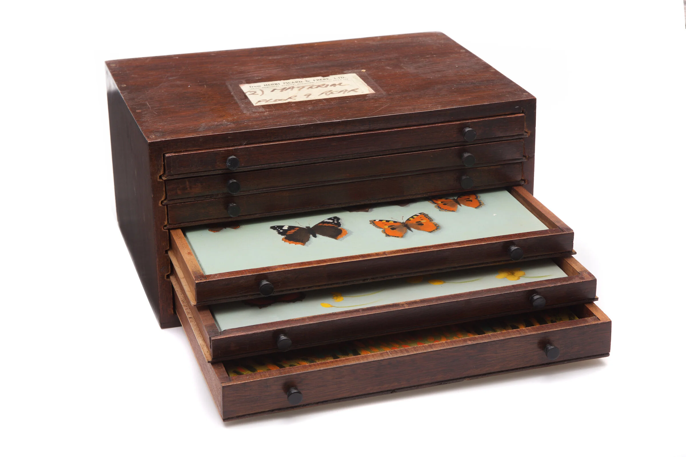 Butterfly project box open.jpg