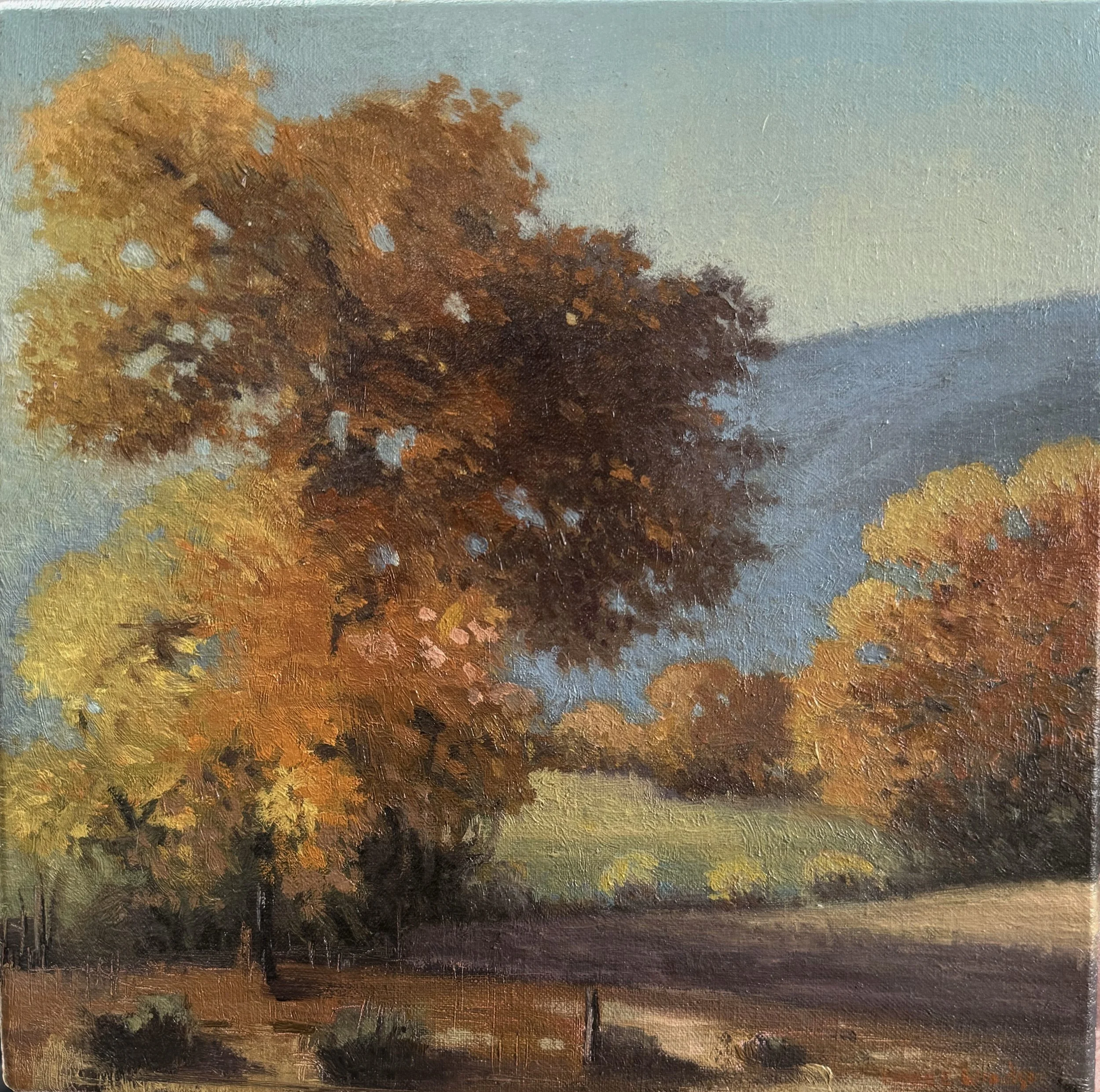 Abiquiu Cottonwoods and Fields.jpg