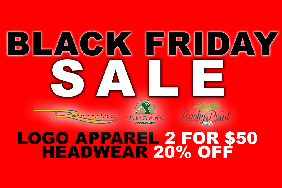 Black Friday Sale