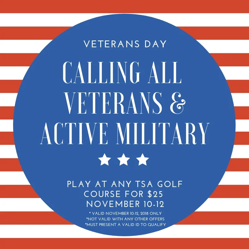 Veterans Day Promo