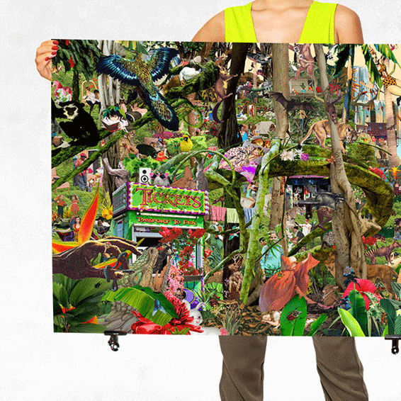 jungle2.gif