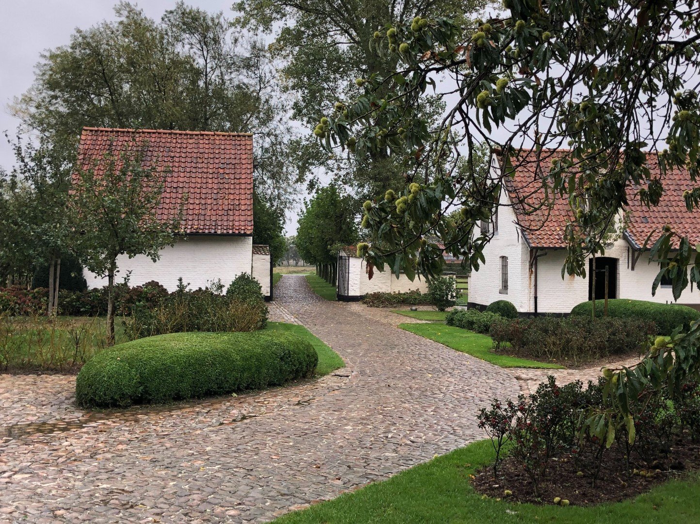 Schermafbeelding 2025-04-11 122108.jpg