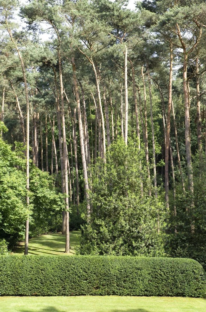 Schermafbeelding 2025-04-11 144415.jpg
