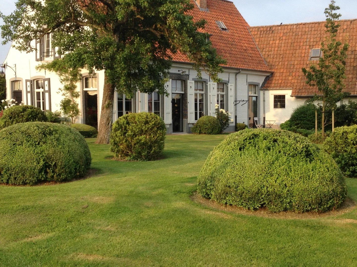 Schermafbeelding 2025-04-11 151933.jpg