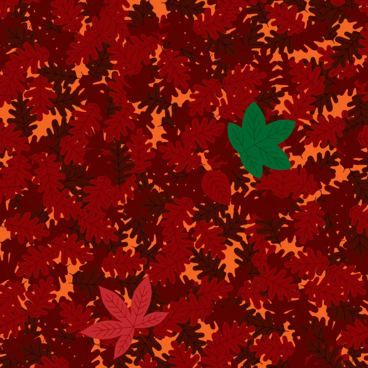 1A_Leaf-09.jpg