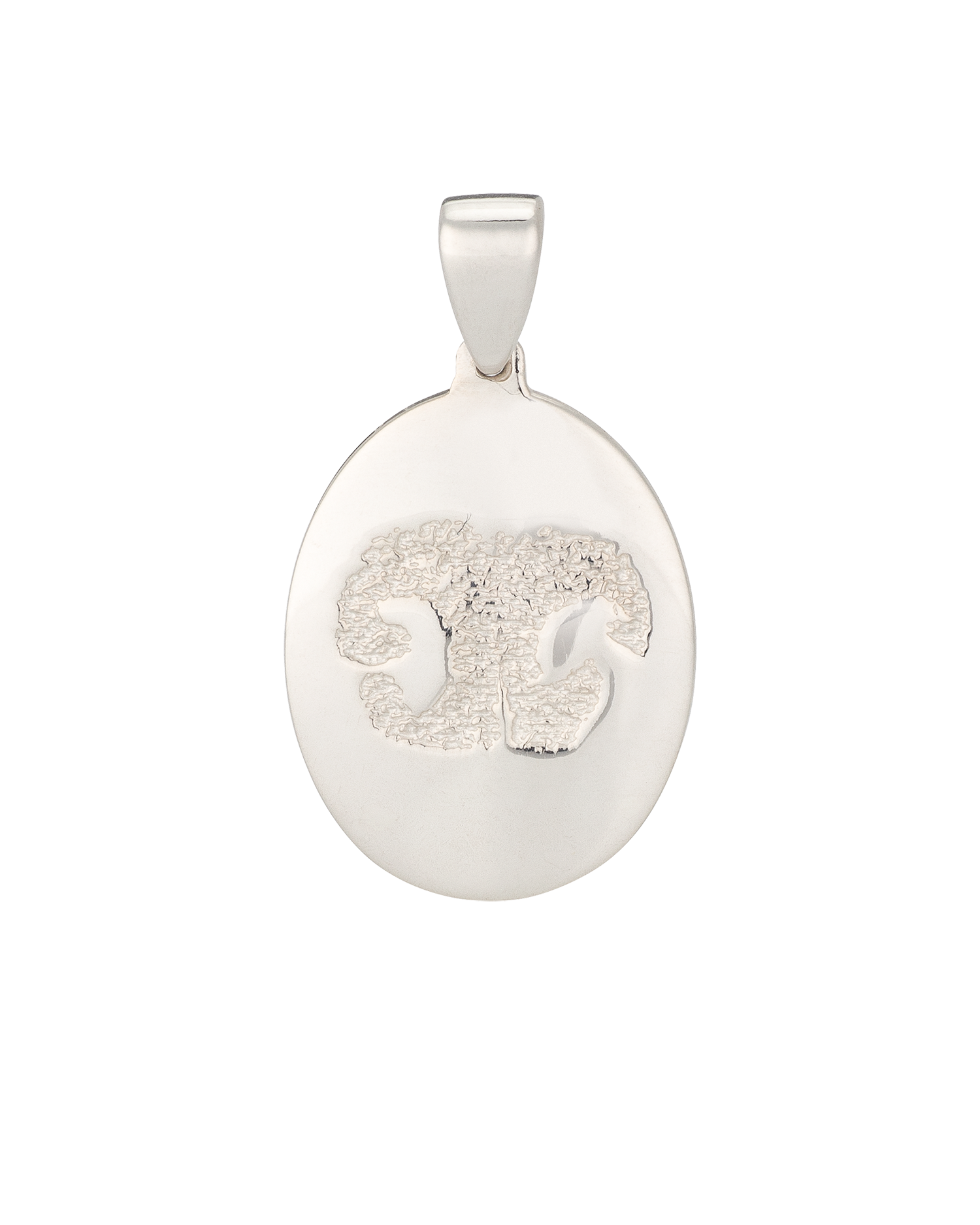 Nose Print Charm of Your Pet's Nose.png