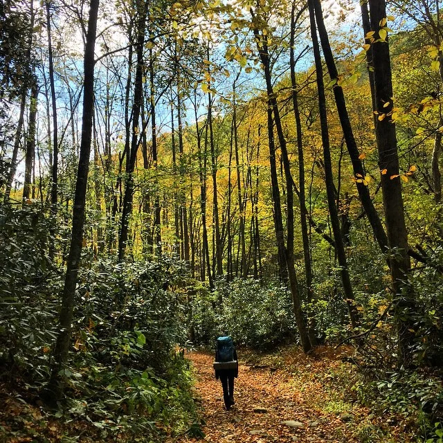 Smoky Mountains