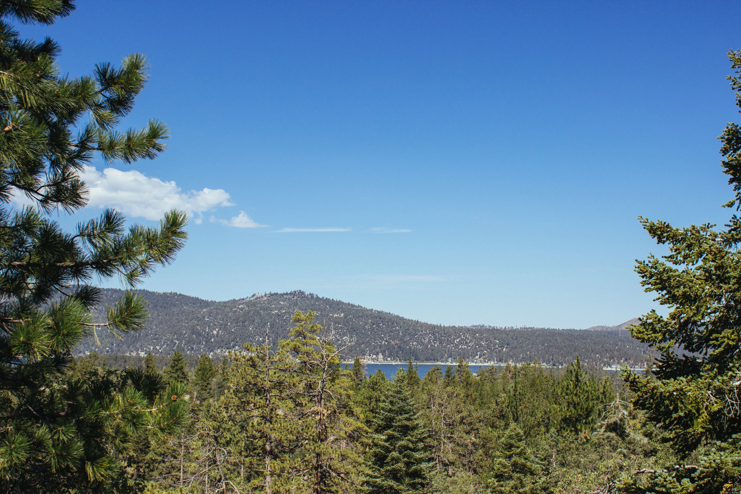 Pine Knot Trail Big Bear Lake, CA — The Modern Female Hiker