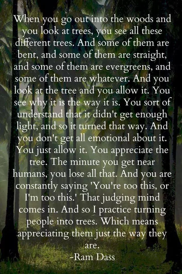 Who Are You/I To Judge? Learn To See People Like Trees