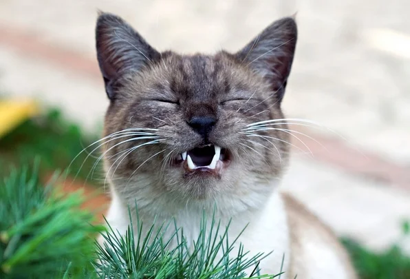 Reconsider Your Complaint