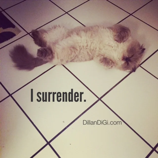 What To Do When You've Tried It All