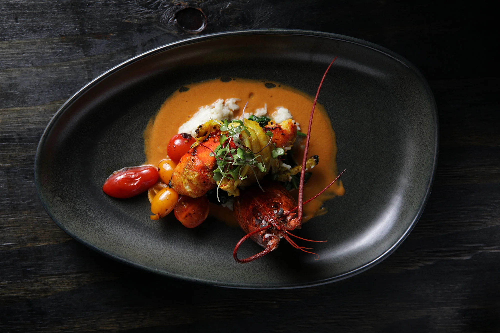 malka-miami-food-photography-7C3A4383.jpg