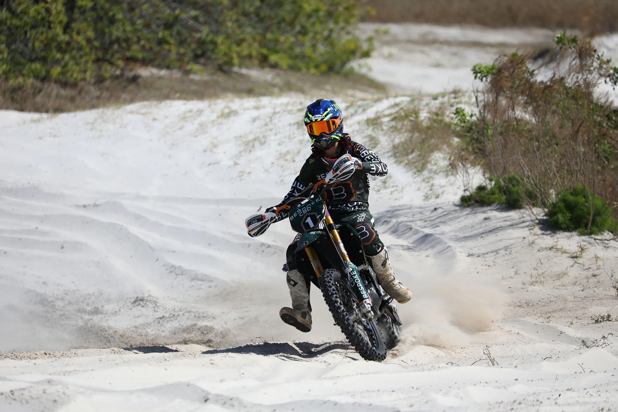 Sean Dylan Kelly 2019