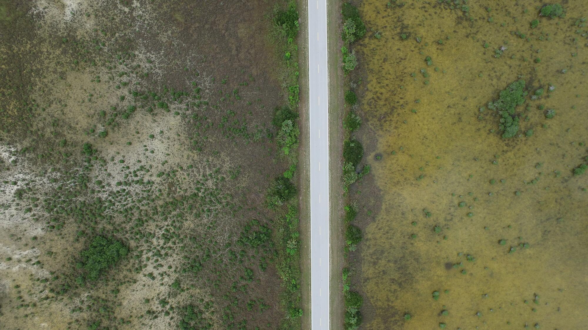 everglades-drone.jpg